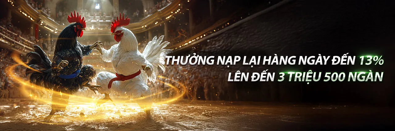 Đá gà kịch tính tại Thể Thao Xin88