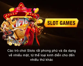 Cấp độ VIP Vàng xin88
