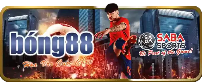 Đá gà trực tuyến XIN88